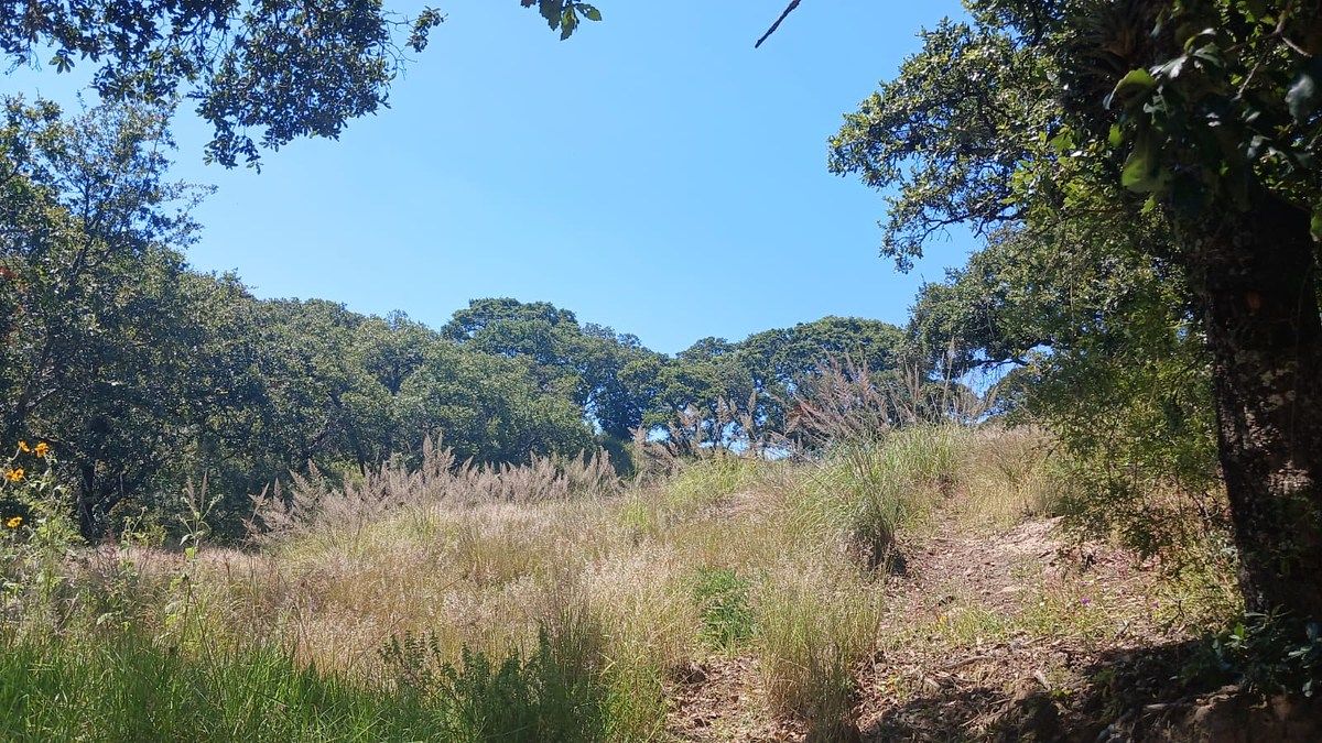 Terreno en Campestre Haras, Amozoc, foto 16 de 18