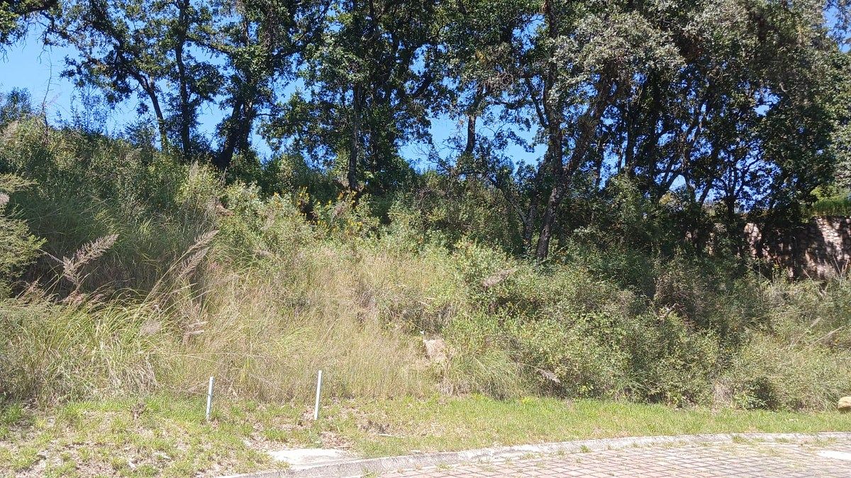 Terreno en Campestre Haras, Amozoc, foto 17 de 18