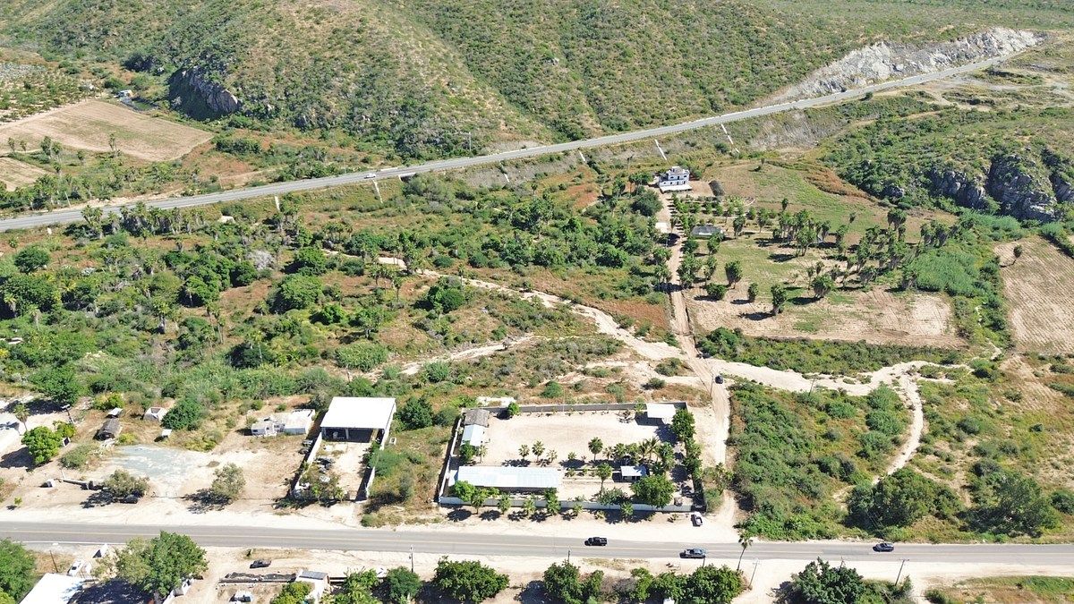 Lot in Todos Santos, La Paz, photo 6 of 12