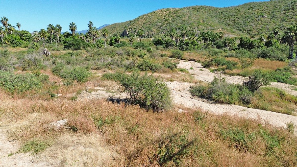 Lot in Todos Santos, La Paz, photo 11 of 12