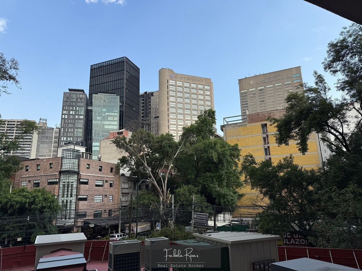 Apartamento em Polanco IV Sección, Miguel Hidalgo, foto 29 de 32