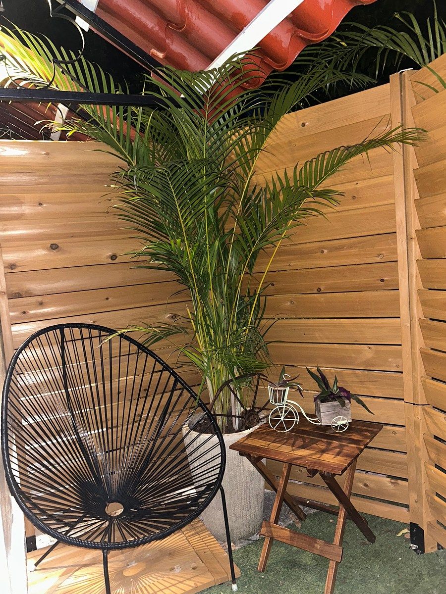 Apartamento em Mérida Centro, Mérida, foto 5 de 21