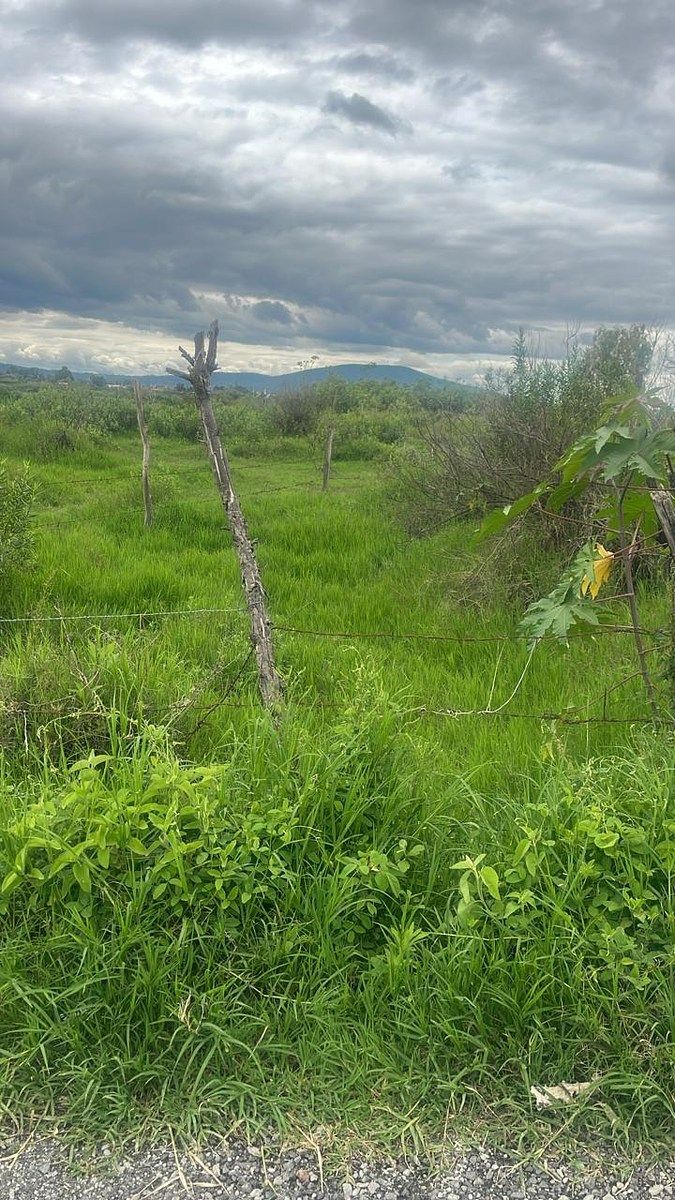 Commercial Lot in San Isidro Mazatepec, Tala, photo 40 of 44