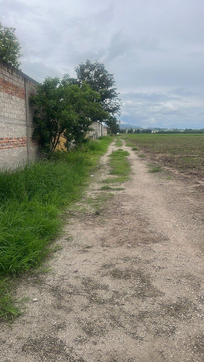 Lote comercial em San Isidro Mazatepec, Tala, foto 6 de 10