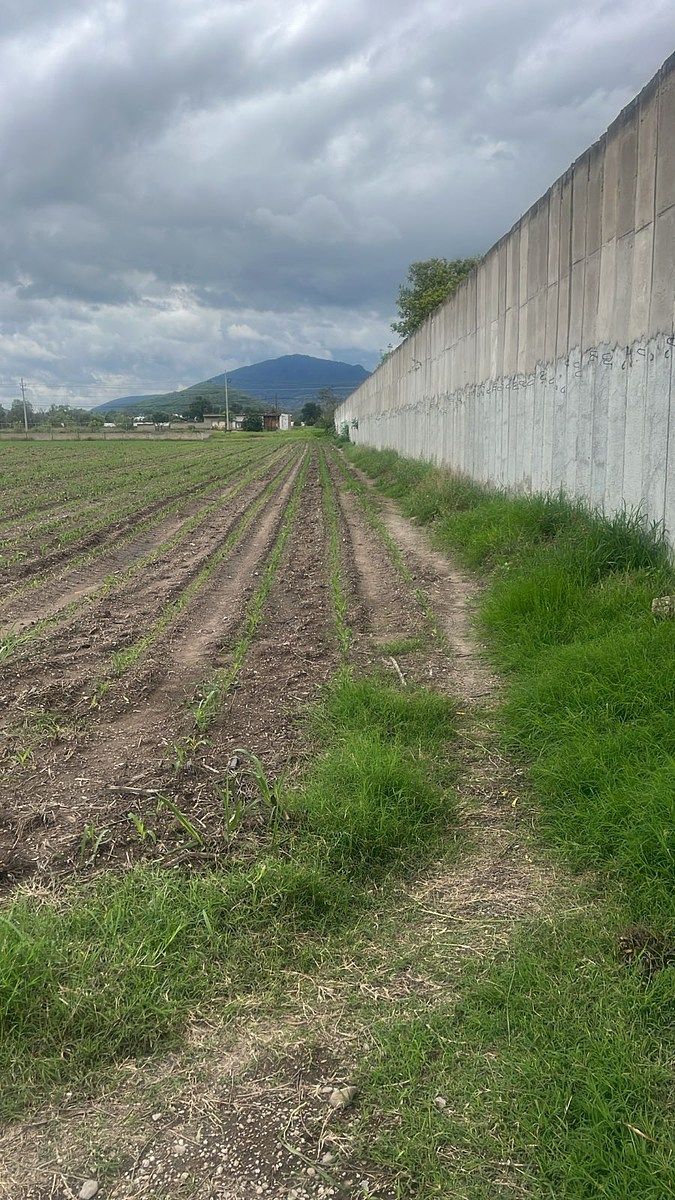 Lote comercial em San Isidro Mazatepec, Tala, foto 7 de 10