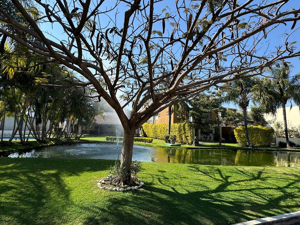 Casa en Residencial Lomas de Jiutepec, Jiutepec, foto 4 de 21