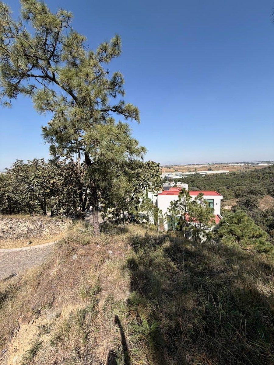 TERRENO EN VENTA EN DIANA NATURA RESIDENCIAL - foto 2