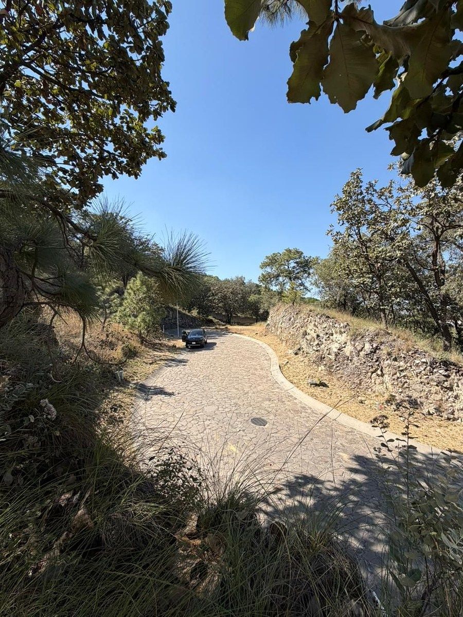TERRENO EN VENTA EN DIANA NATURA RESIDENCIAL - foto 3