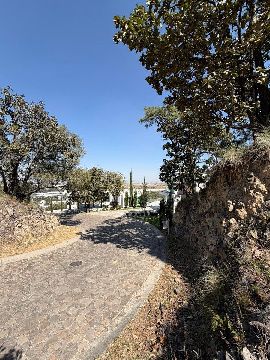 TERRENO EN VENTA EN DIANA NATURA RESIDENCIAL - foto 4