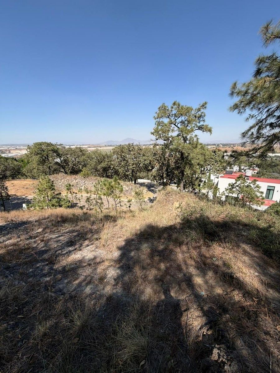 TERRENO EN VENTA EN DIANA NATURA RESIDENCIAL - foto 5