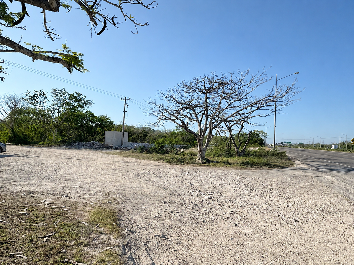 Lot in Xcunya, Mérida, photo 7 of 8