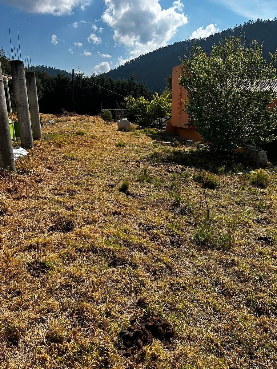 House in Cañada de Alférez, Lerma, photo 19 of 22