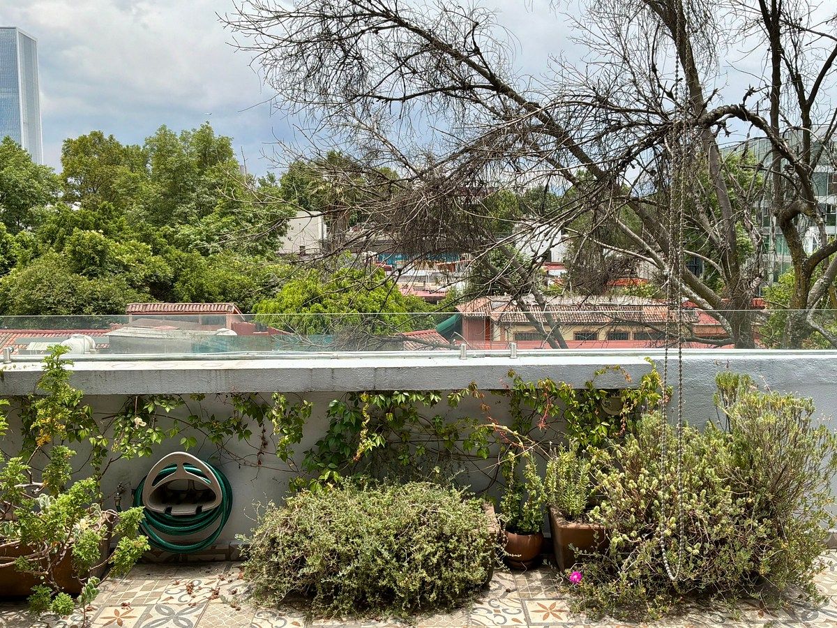 Apartment in San Miguel Chapultepec I Sección, Miguel Hidalgo, photo 17 of 25