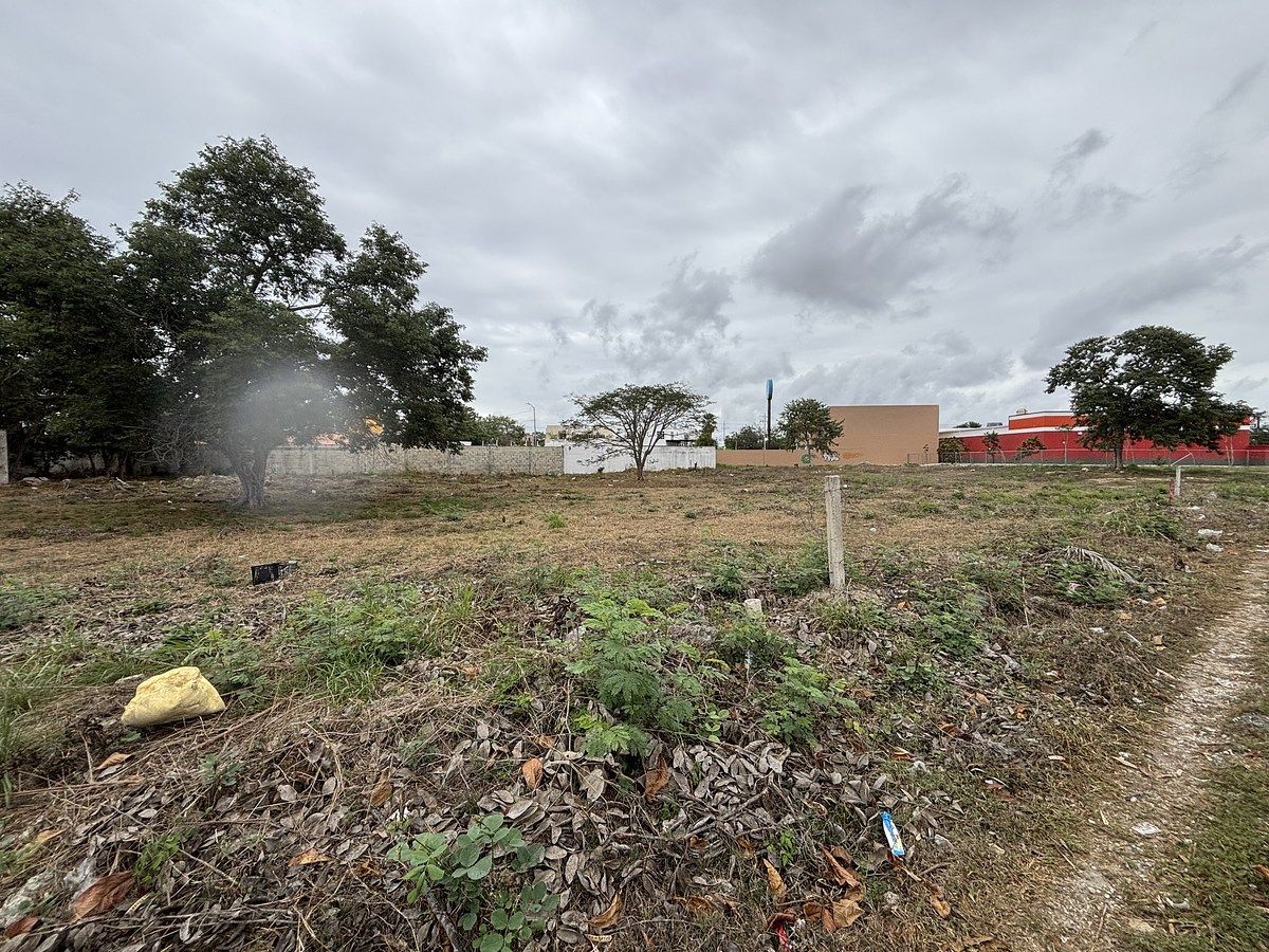 Terreno en Paseos de Opichen, Mérida, foto 13 de 14