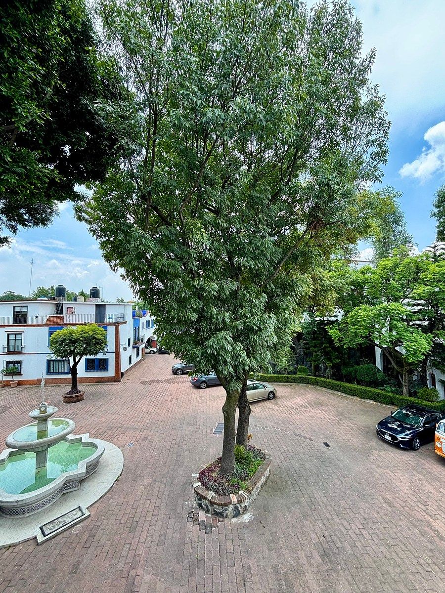Casa en condominio en Cuadrante de San Francisco, Coyoacán, foto 17 de 19