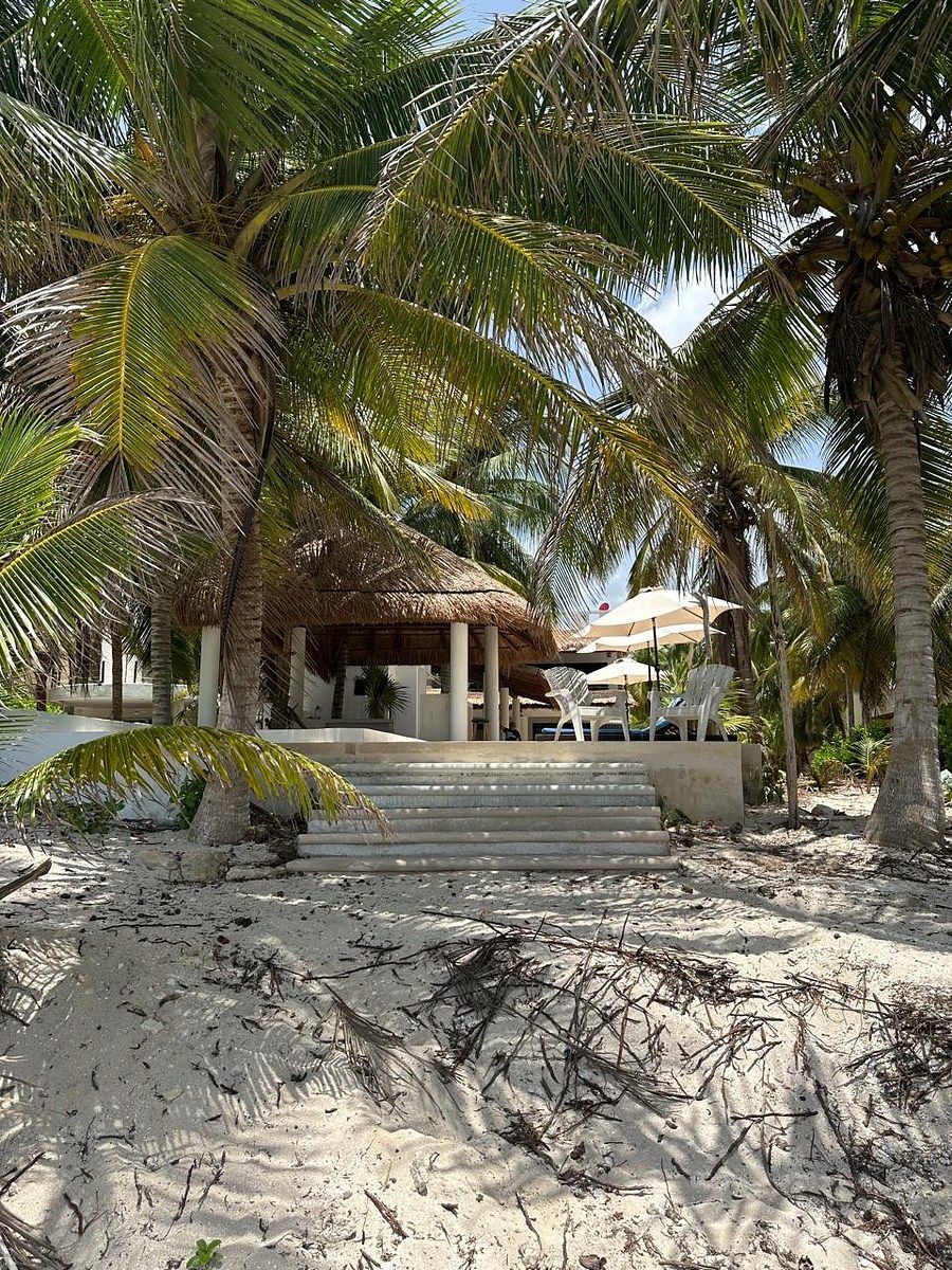House in Chicxulub Puerto, Progreso, photo 2 of 43