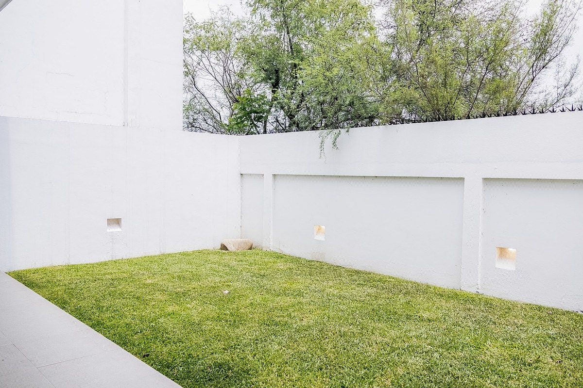 Jardín trasero, foto 7 de 22