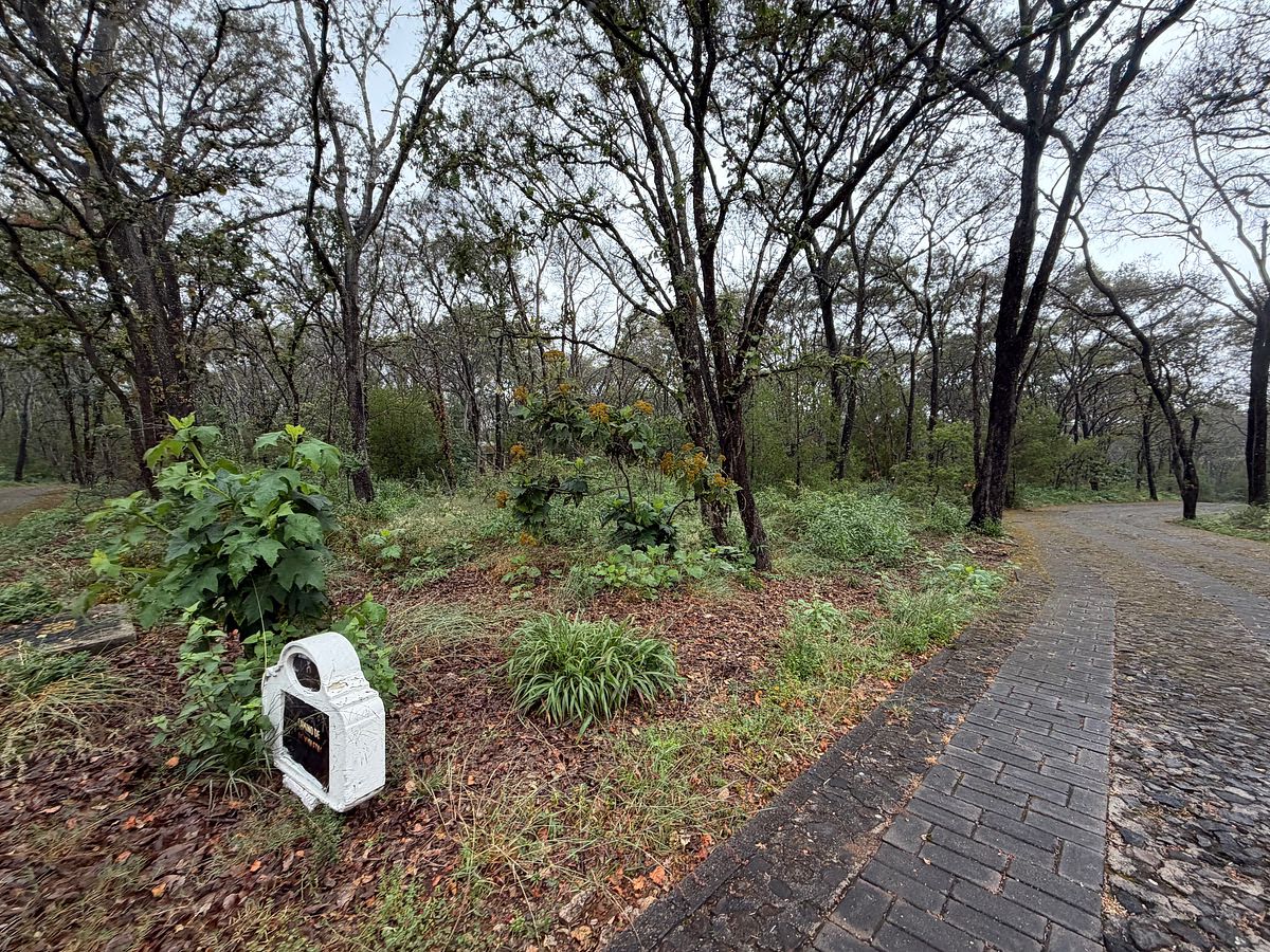 Lote em Teuchitlán, Teuchitlán, foto 2 de 16