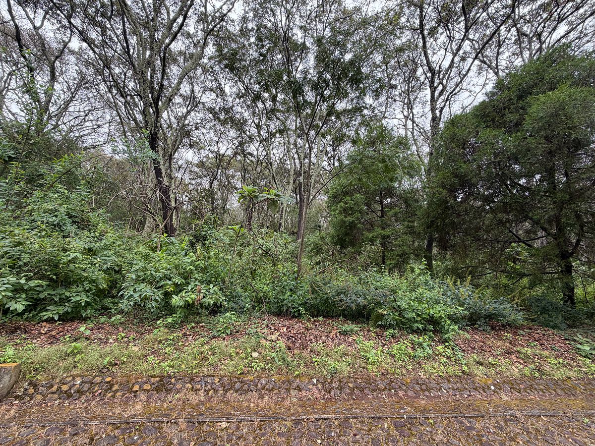 Lote em Teuchitlán, Teuchitlán, foto 5 de 16