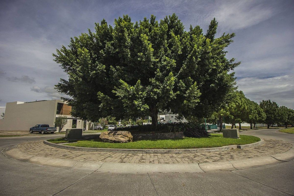 Lot in El Bajío, Zapopan, photo 6 of 10