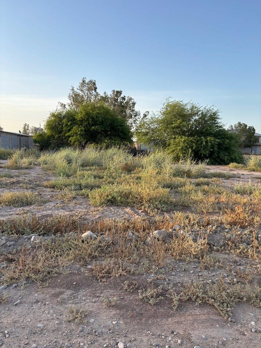 SE VENDE TERRENO EN OASIS SUB URBANO 2, foto 1 de 4