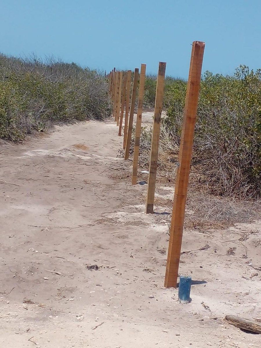 Lote em Sisal, Hunucmá, foto 5 de 8