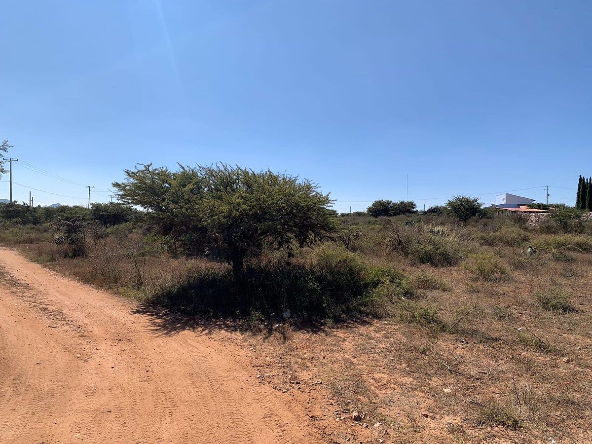 Lote em Mineral de Pozos, San Luis de la Paz, foto 2 de 21