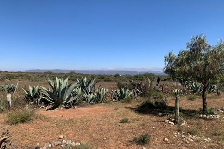 AR-Terreno rústico de 3953 m2 à venda – Mineral de Pozos, Guanajuato