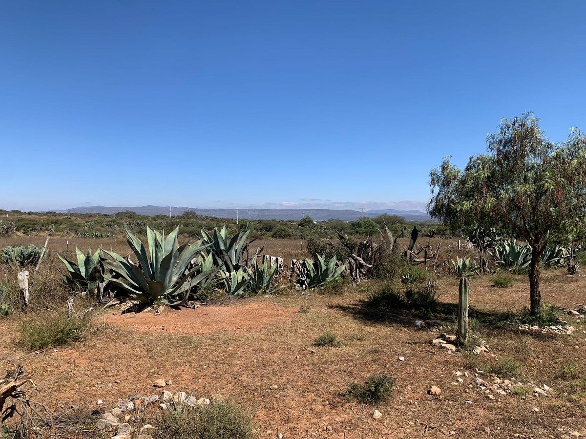 Lote em Mineral de Pozos, San Luis de la Paz, foto 9 de 21