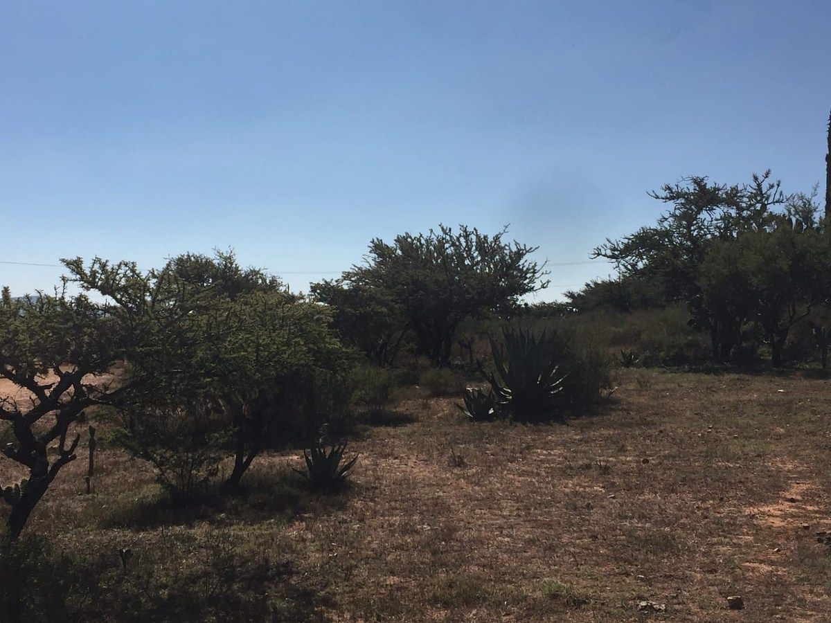 Lote em Mineral de Pozos, San Luis de la Paz, foto 10 de 21