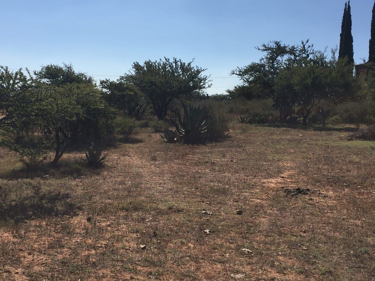 Lote em Mineral de Pozos, San Luis de la Paz, foto 11 de 21