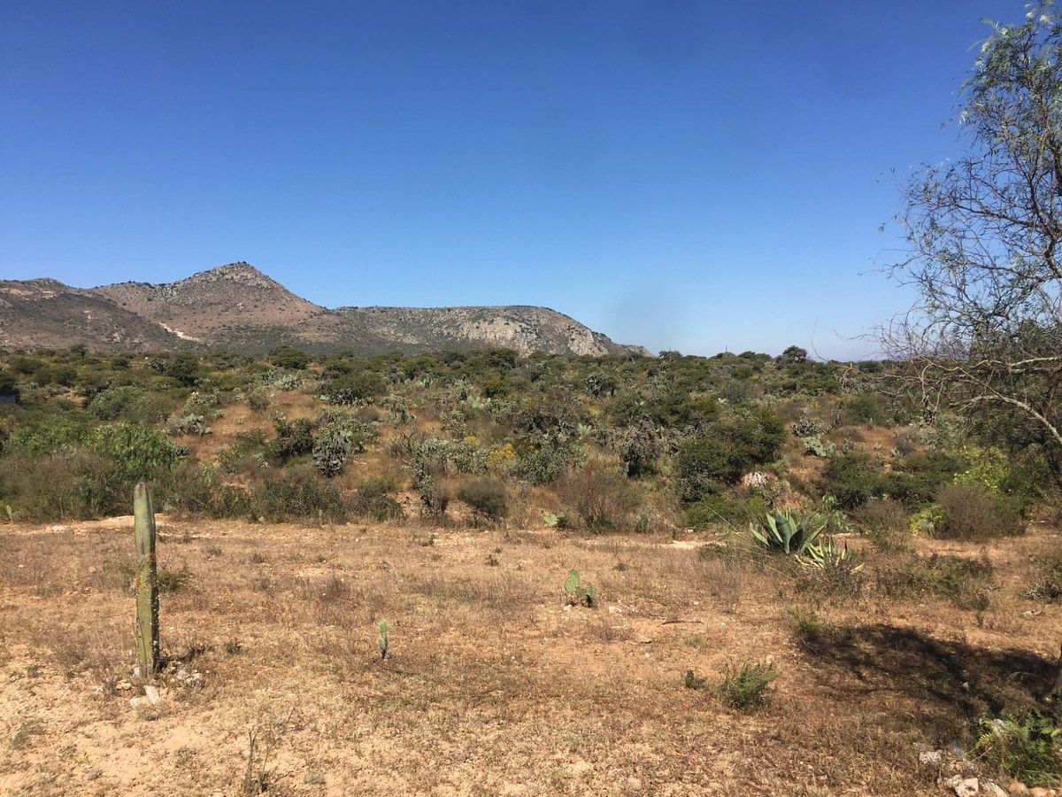 Lote em Mineral de Pozos, San Luis de la Paz, foto 15 de 21