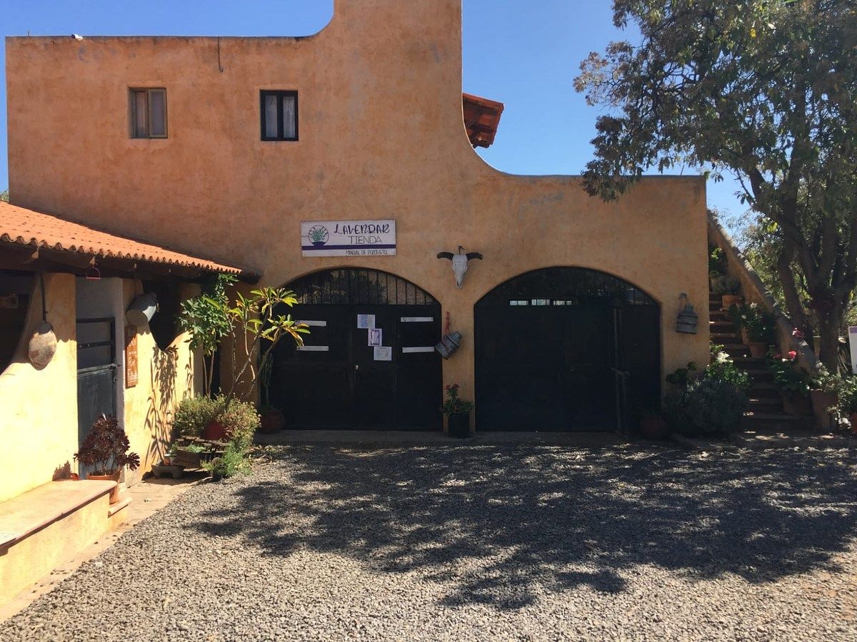 Lote em Mineral de Pozos, San Luis de la Paz, foto 16 de 21