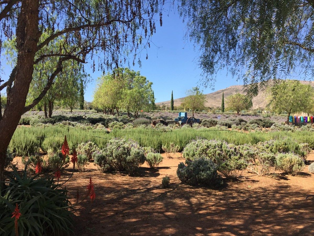 Lote em Mineral de Pozos, San Luis de la Paz, foto 19 de 21