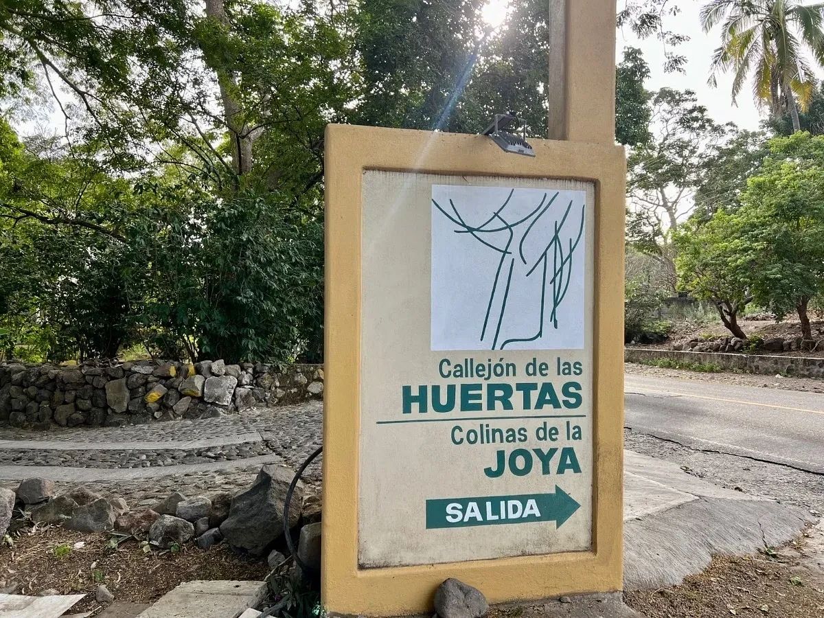 Terreno en El Chivato (Providencia), Villa de Alvarez, foto 4 de 11