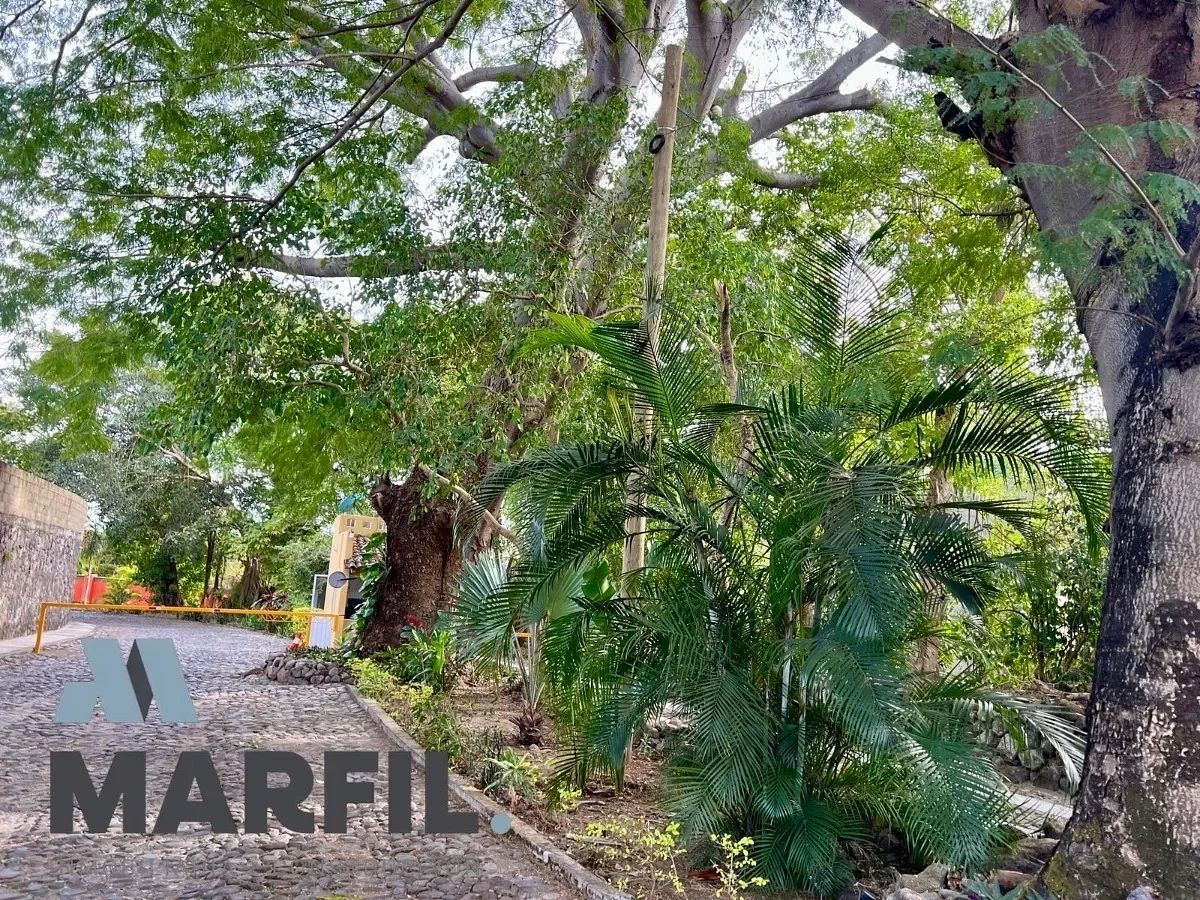 Terreno en El Chivato (Providencia), Villa de Alvarez, foto 10 de 11