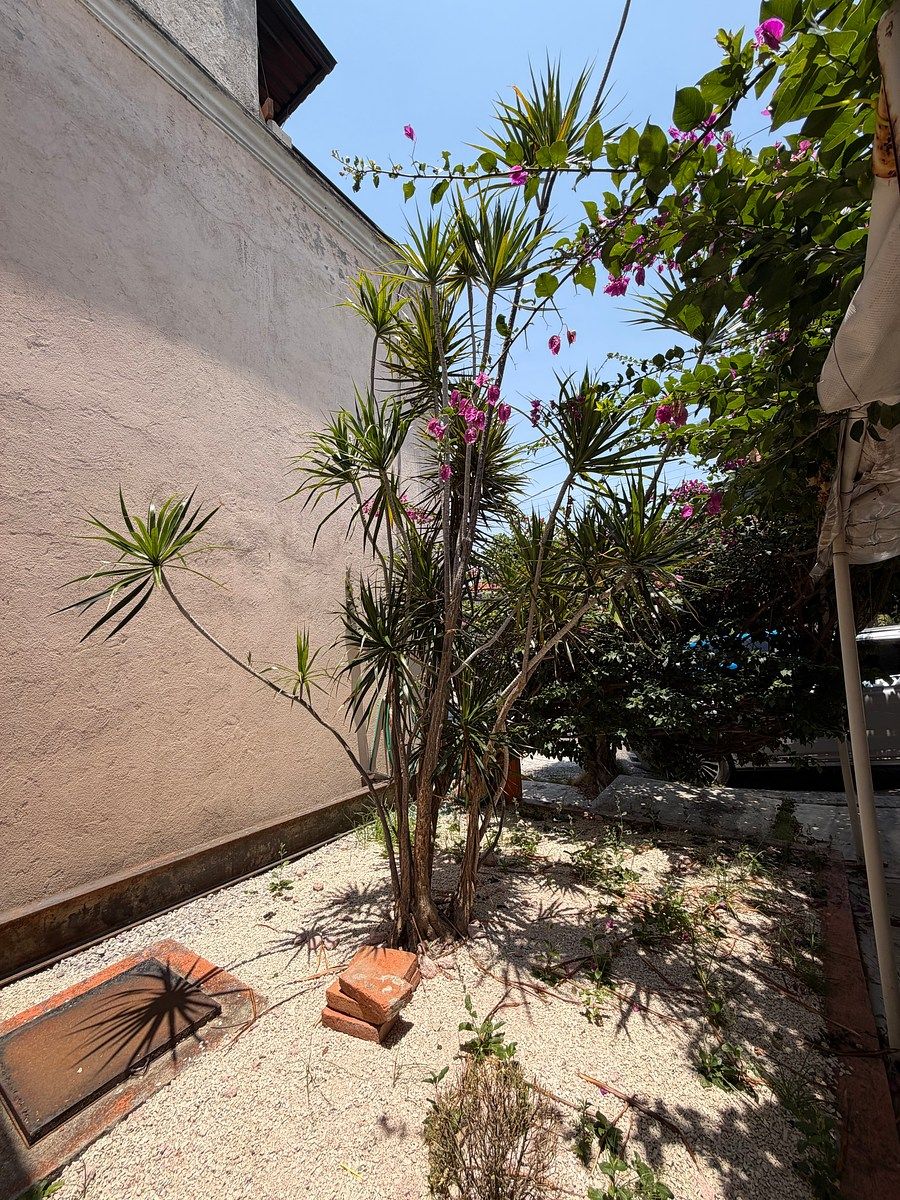 Casa en Monte Real, Tuxtla Gutiérrez, foto 17 de 17
