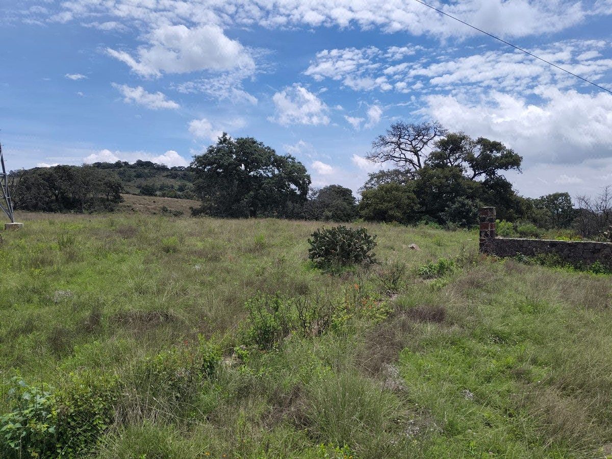 Terreno en San José Deguedo, Soyaniquilpan de Juárez, foto 9 de 18