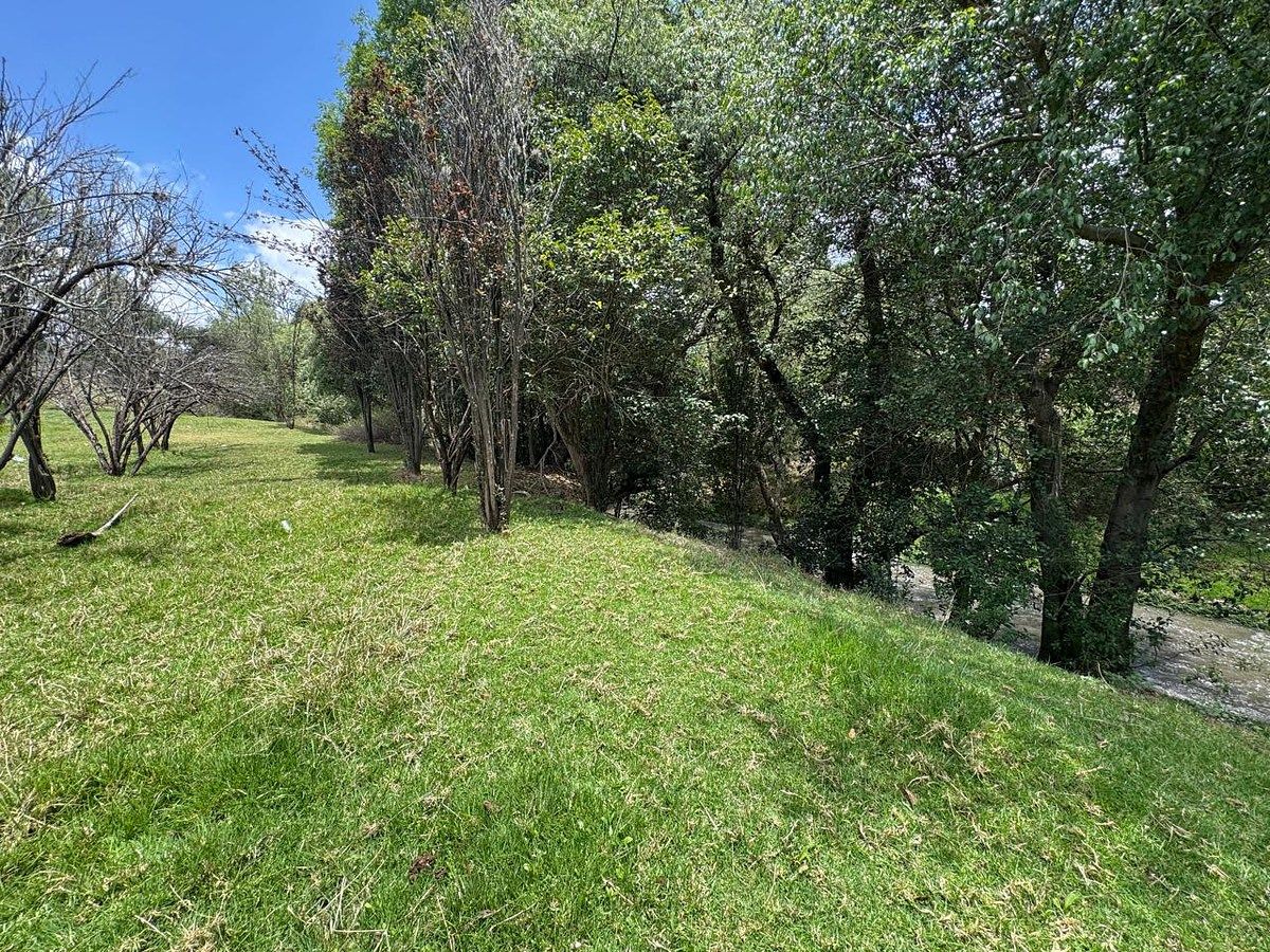 Lote em Amaxac de Guerrero, Amaxac de Guerrero, foto 5 de 11
