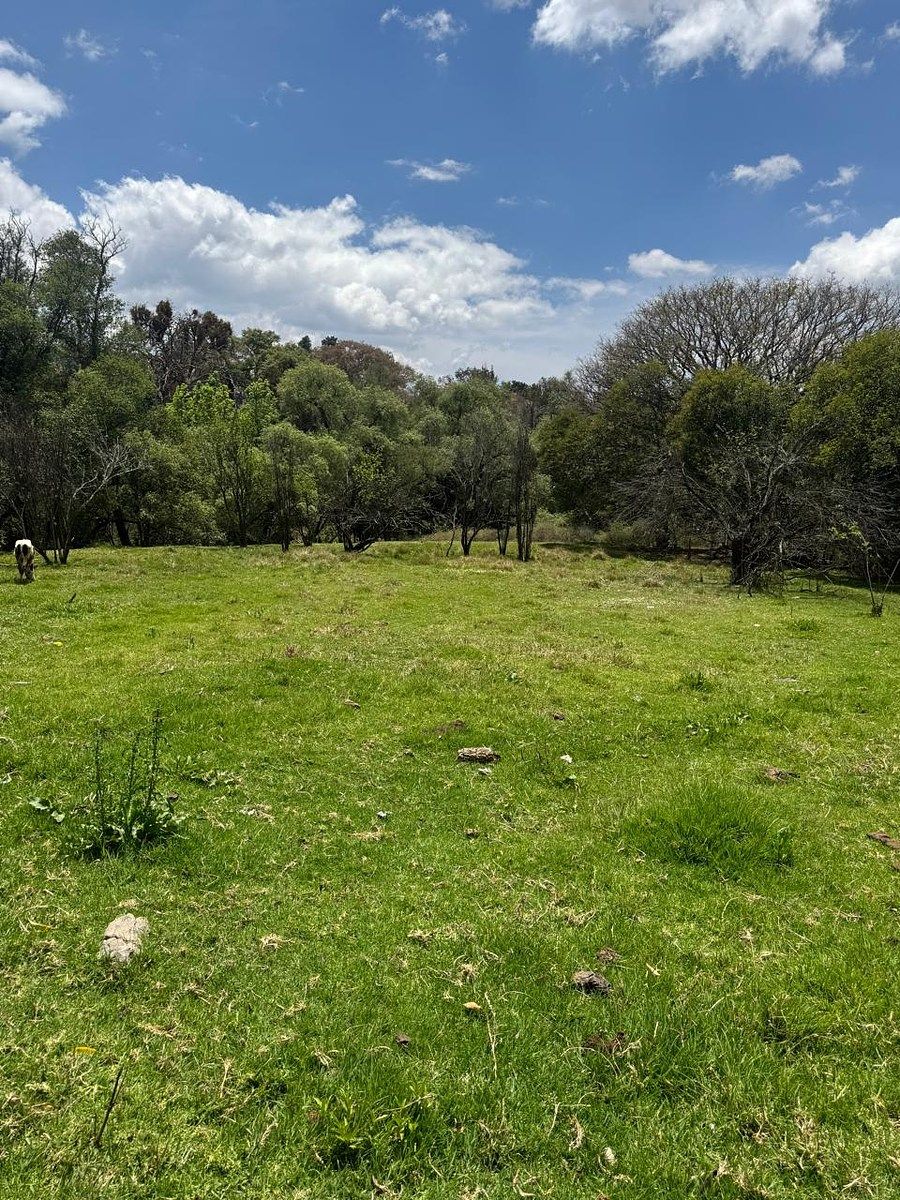 Lote em Amaxac de Guerrero, Amaxac de Guerrero, foto 6 de 11