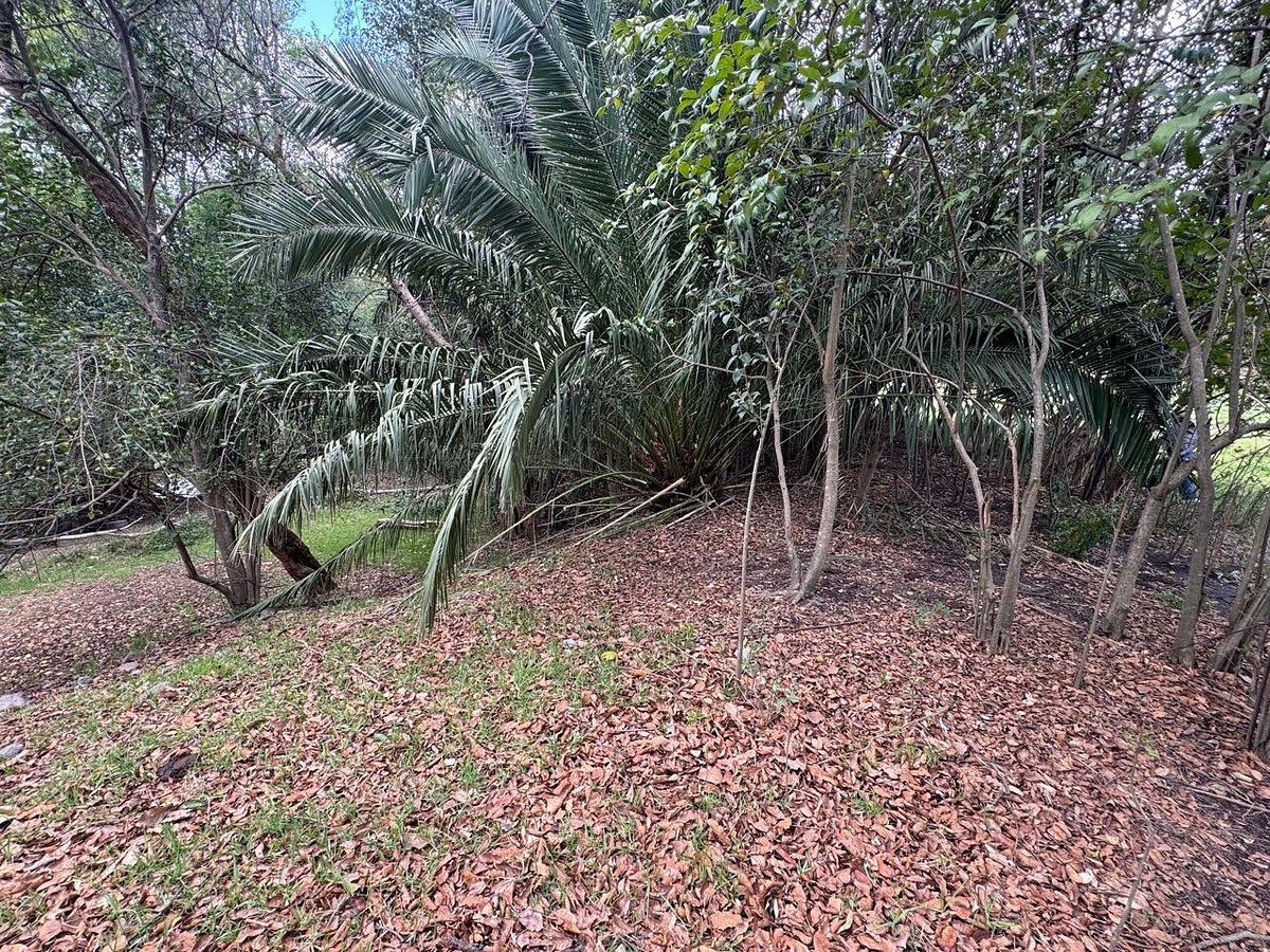 Lote em Amaxac de Guerrero, Amaxac de Guerrero, foto 7 de 11