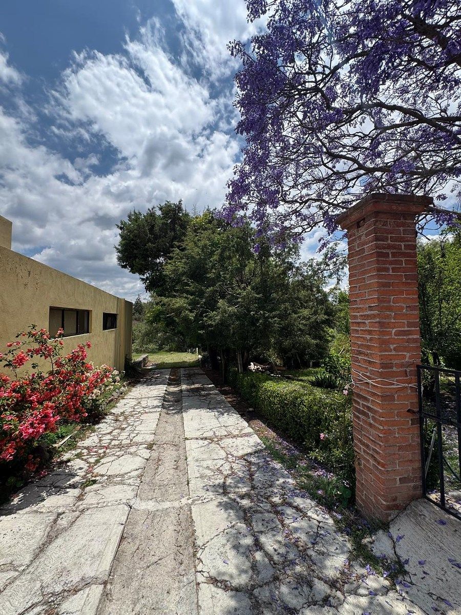 Entrada, foto 10 de 11