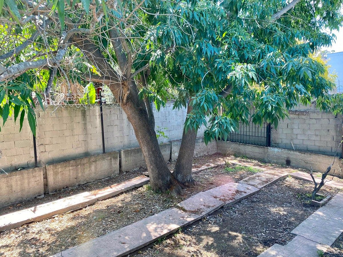 Casa en Roma, Tijuana, foto 23 de 29
