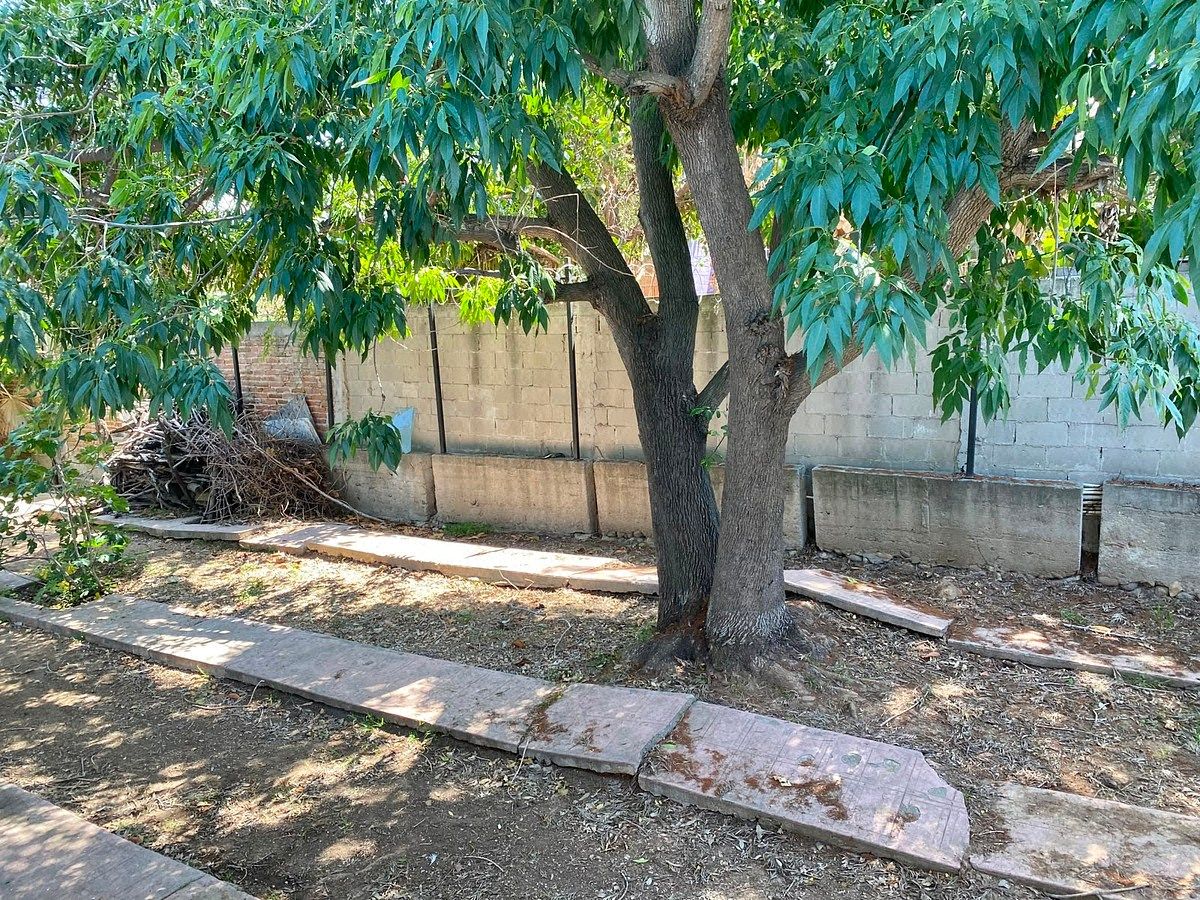 Casa en Roma, Tijuana, foto 25 de 29