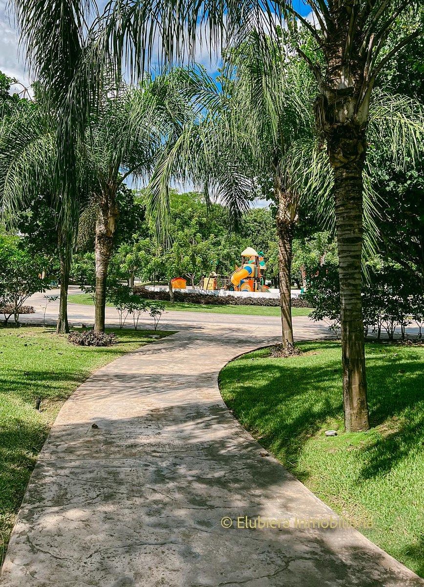 House in Parque Central, Mérida, photo 5 of 35