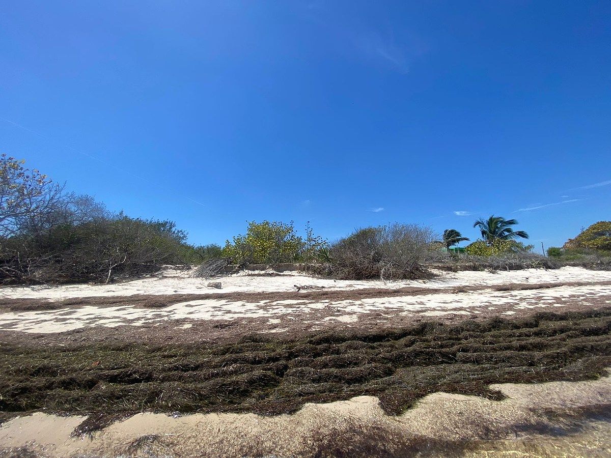 TERRENO EN VENTA EN CHABIHAU, foto 1 de 7