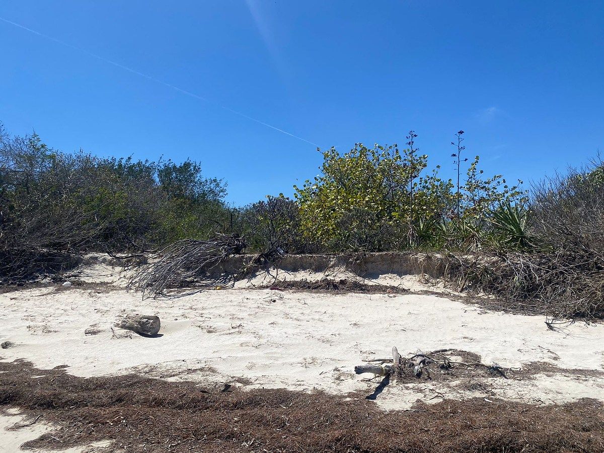 Terreno en Chabihau, Yobaín, foto 2 de 7