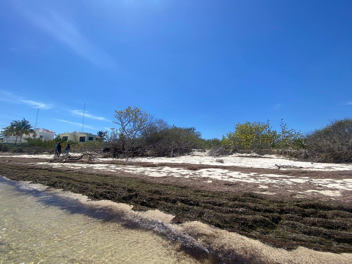 Terreno en Chabihau, Yobaín, foto 4 de 7
