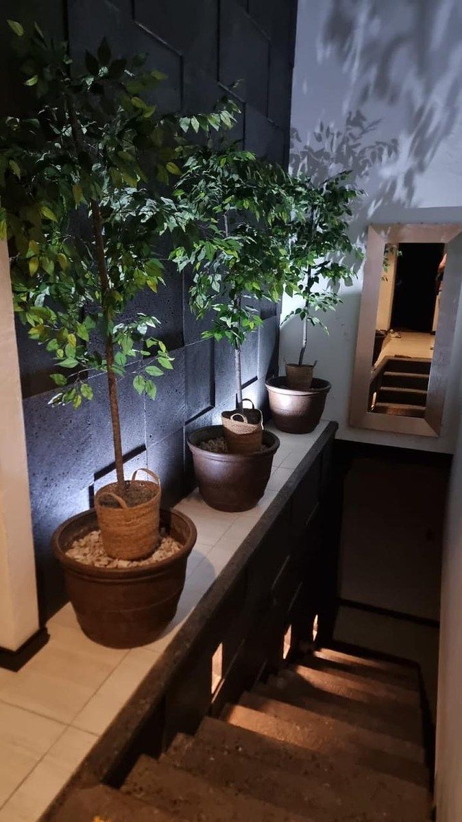 Casa en Altozano, Morelia, foto 4 de 11