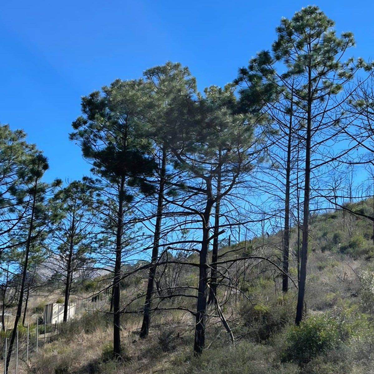 Lote em Laguna de Sánchez, Santiago, foto 2 de 4